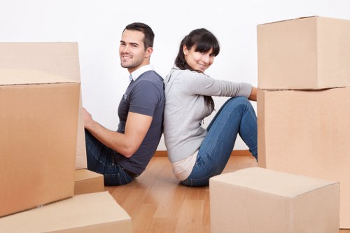 Crystal Palace man and van delivering household items
