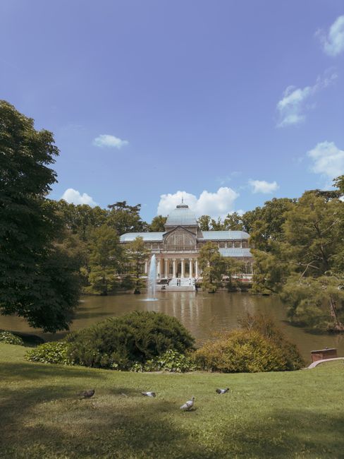 This image shows a historic glass and stone pavilion surrounded by lush green trees and a well-maintained lawn, located beside a large pond or lake with a fountain feature, reflecting the building and the sky. In the foreground, there are several pigeons on the grass, and the scene is illuminated by natural daylight with a clear blue sky dotted with a few clouds. The setting appears to be a park area adjacent to Crystal Palace Park, a popular location for outdoor leisure and sightseeing. Although the photo primarily captures the scenic environment, it complements the theme of house removals and relocation services by illustrating the kind of picturesque outdoor setting where logistical planning or transport might be coordinated, paralleling the careful packing and moving process managed by companies like Man and Van Crystal Palace.